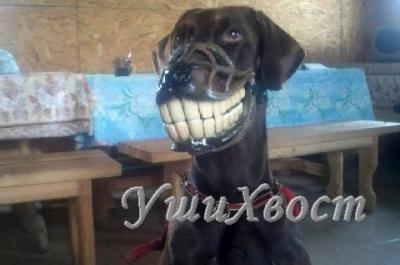 Прикрепленное изображение: nam1.jpg